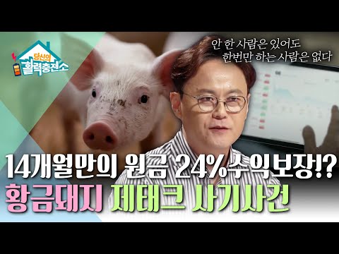 2,400억 원 <strong>황금</strong> 돼지 사건ㅣ노년층 사기 <strong>사건</strong> [돈의 유혹]ㅣ당신의 활력충전소