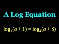 A Non-standard Logarithmic Equation with Different Bases