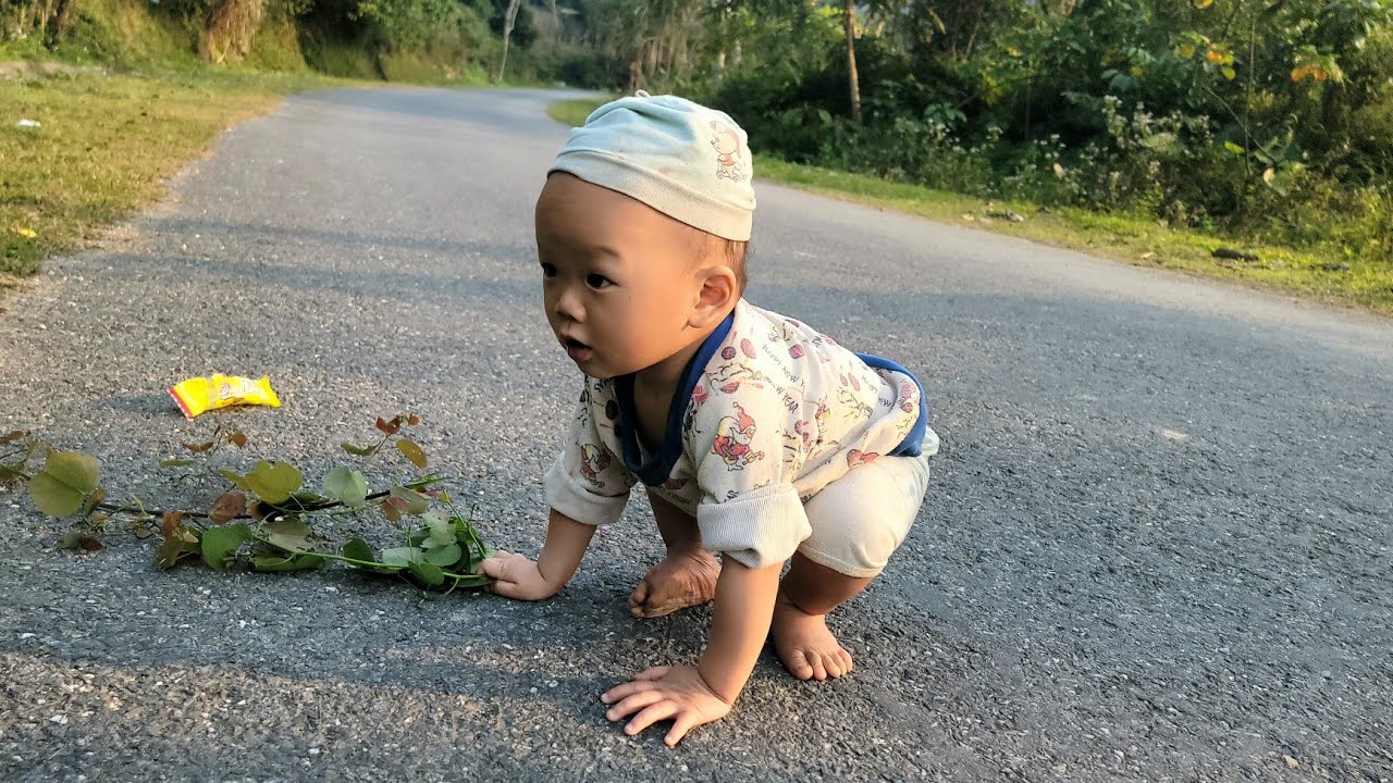 The journey of a single mother building her dream home, harvest and sell fruit | Đặng Thị Thủy