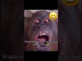 Maymun Monkey Monkeysspinningmonkeys Slowedandreverb Beats Music Halloween Remix Drawing