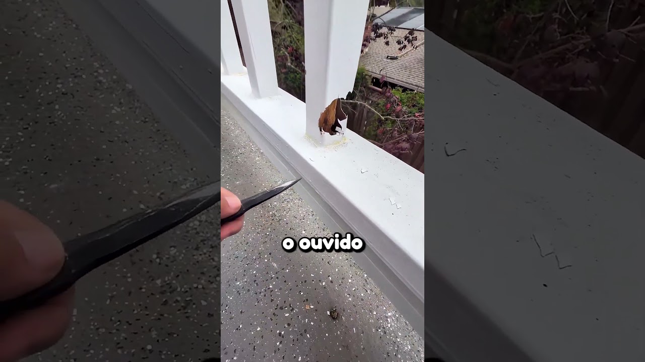Esse inspetor de casas está em outro nível 🤯 #corretordeimoveis #casa #shorts