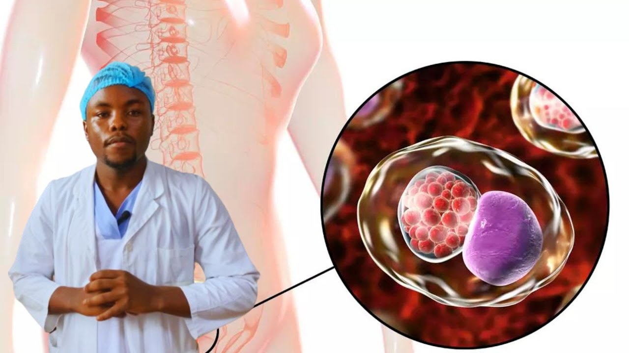 Dosage des anticorps IgM/IgG de CHLAMYDIA par la technique ELISA sur ...