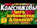 Семья Колесниковых //Колесниковы //Обзор новых ВЛОГОВ //Чего добивается Алексей? //