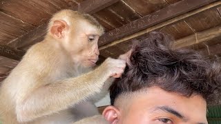 I'm Very Good When Zueii Focus Grooming Me She Very Adorable by ZUEII MONKEY 2,761 views 8 days ago 3 minutes, 17 seconds