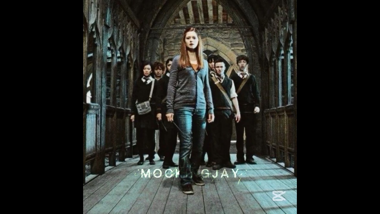 Harry Potter characters - numb little bug. Do these lyrics suit them?  