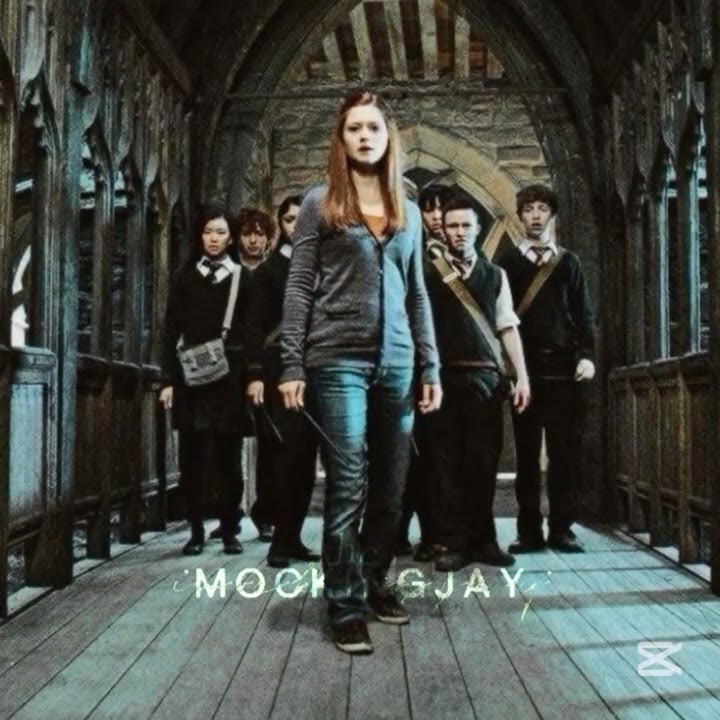 Harry Potter characters - numb little bug. Do these lyrics suit them?  #harrypotter I ❤️ this song