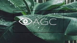 Download Lagu Awake Global W - Wave MP3