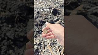 Пятак "золото партии" 1956 год. #metaldetecting #коп #noktamakrolegend #metaldetector