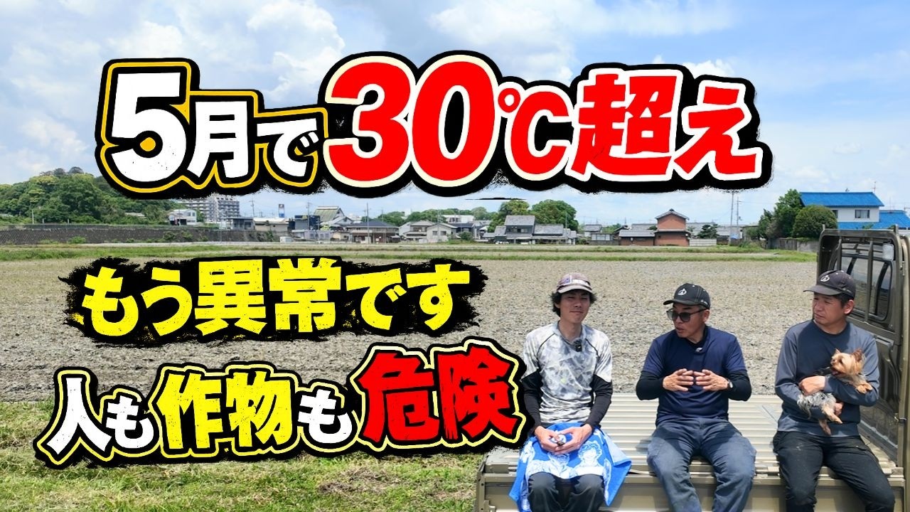 5月の真夏日は危ないです、農家も屋外でのお仕事も警戒してください。異常な気温で天候も不安定