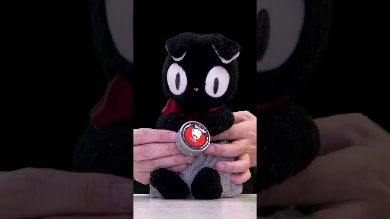 From Cat to Billboard?! Kuro’s Funny Light Pose 🐾🔦