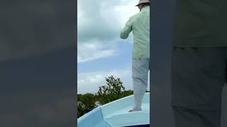 One Shot Skittish Bonefish In Shallow Water.