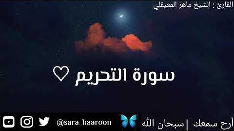 سورة التحريم بصوت الشيخ ماهر المعيقلي