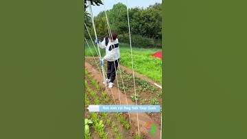 Vật tư nông nghiệp công nghệ cao, Thế giới máy nông nghiệp