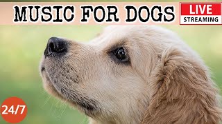 [LIVE] Dog Music Relaxing Sounds for Dogs with Anxiety Separation anxiety relief musicDog Calm 4