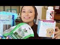 My Favorite Dental Products For Dogs & Cats