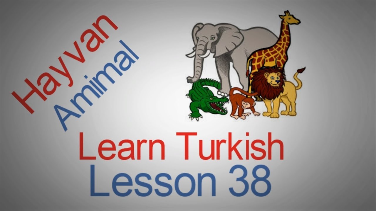 Learn Turkish Lesson 38 - Animals (Hayvanlar)