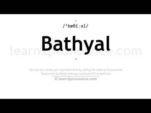 Video: Çfarë është bathyal në biologji?