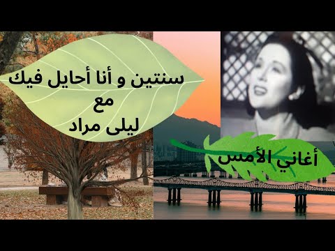 سنتين و أنا حايل فيك ليلى مراد