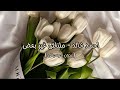احمد خالد ملناش غير بعض بدون موسيقى احمد خالد ملناش غير بعض بدون موسيقى