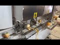 apple lemon peeling machine orange apple peeling machine for sell