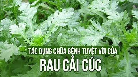 RAU CẢI CÚC VÀ TÁC DỤNG CỰC TỐT CHO SỨC KHỎE BẠN NÊN BIẾT