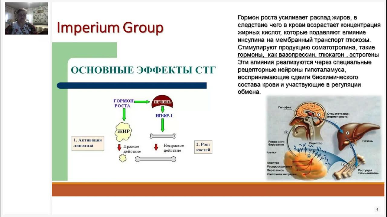 Частоты гормона роста