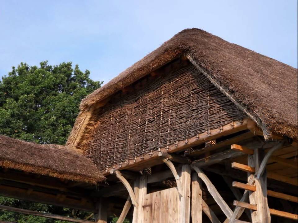 Šentrupert in Vesela Gora - 19. 7. 2013