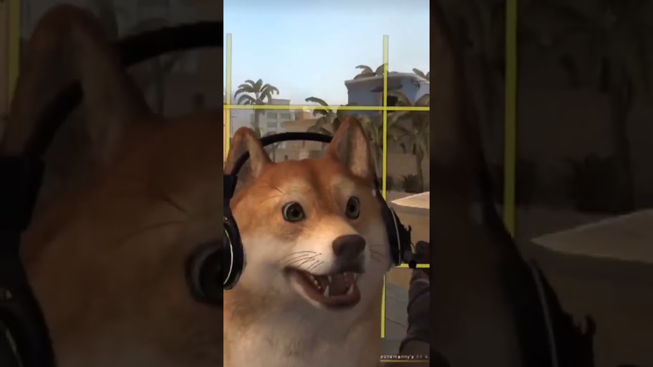 POV: You give your dog Dr.Pepper