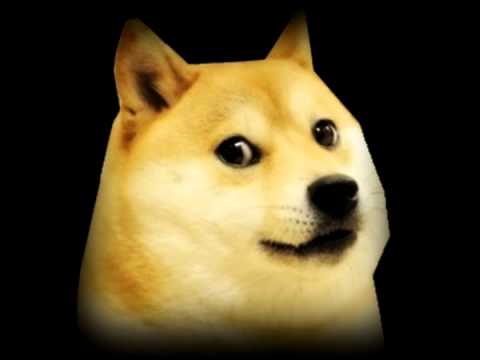 doge - YouTube