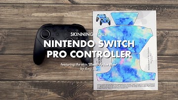 Nintendo Switch Pro Controller Skin Install