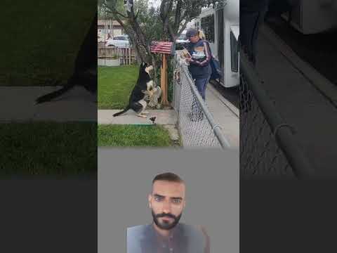لم ي طعم الكلب طعام ا فحسب بل قد م درس ا في الرحمة