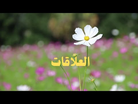 العلاقات الإنسانية فهم النفس والآخرين لحظة صدق