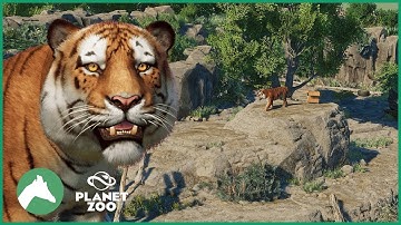 Siberian Tiger Habitat | Elm Hill City Zoo | Planet Zoo