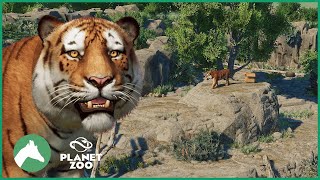 Siberian Tiger Habitat | Elm Hill City Zoo | Planet Zoo