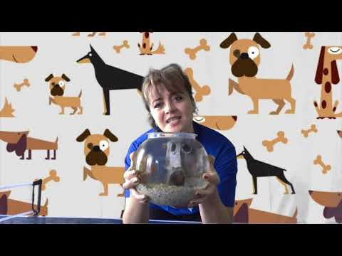 Бог заботится о тебе!