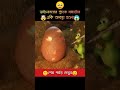 😆ডাইনোসরের দুষ্টু বাচ্চা🤣#aistory #3danimation #cartoon