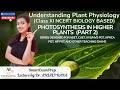 Light Reaction & Z-Scheme | Photosynthesis (Part 2) | NCERT Line by Line | Class XI NCERT Biology