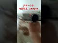 射钉改 大陆 发 只有一个电报号 射钉改 大陆 发 只有一个电报号