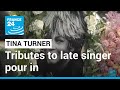 Fans flock to pay tribute to Tina Turner • FRANCE 24 English