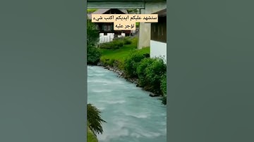 سوره المسد بصوت الشيخ فارس عباد ♥️♥️♥️ #اكسبلور