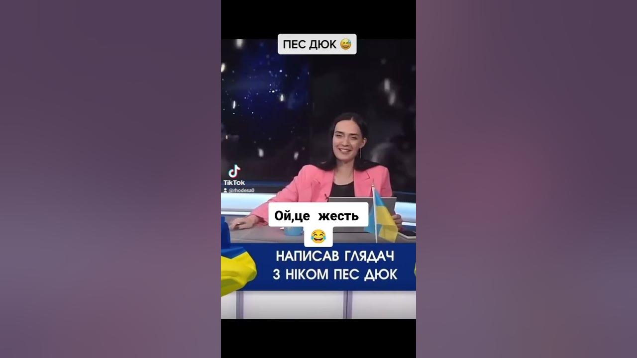 Пес дюк😂 - YouTube