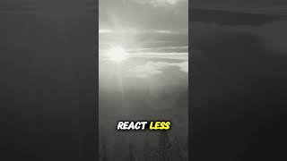 Download Lagu Denzel Washington Powerful True Words #motivation #shorts #motiationalspeech #ytshorts MP3