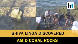 Shiva Linga found amid coral rocks in Rameswaram, devotees flock to site