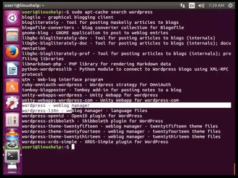 How to use APT command in Linux