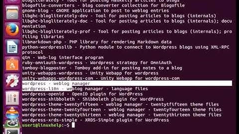 How to use APT command in Linux