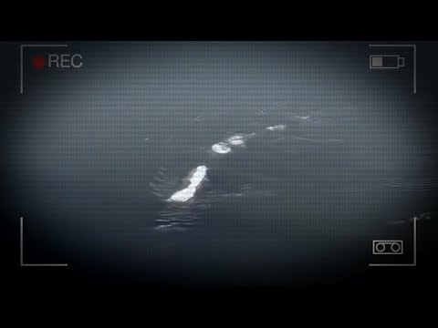 Video: Facebook-tapahtuma Aikoo Myrskyttää Loch Nessin Etsimään Hirviötä