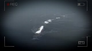 5 Loch Ness Monsters Caught On Camera & Spotted In Real Life!