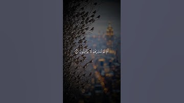 ‏الشيخ عبدالله الموسى تلاوة من #سورة_يس #لايك #اكسبلور #quran #shots #تيك_توك  #عبدالله_الموسى
