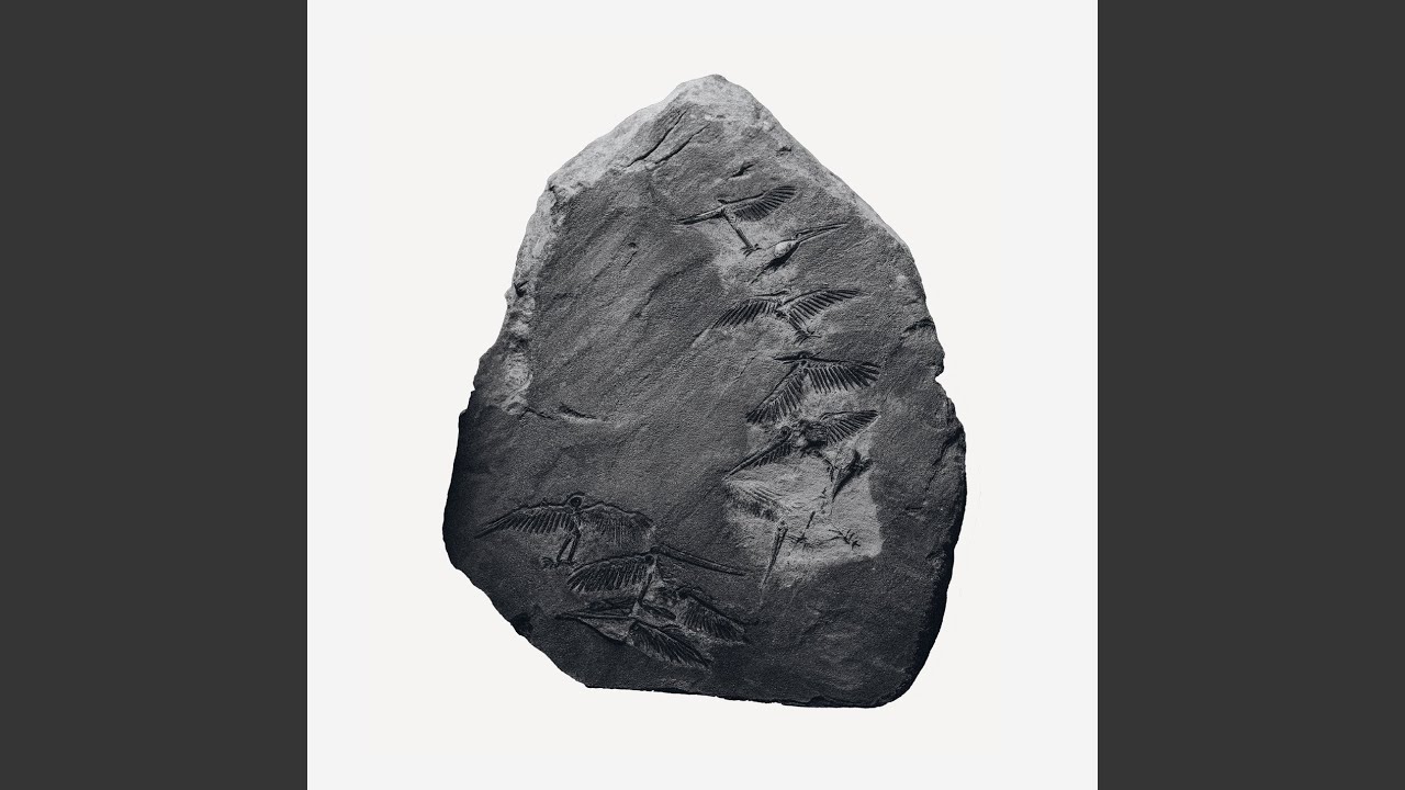 Face (Rødhåd Remix)