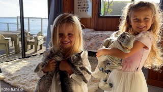 Kate turns six! Got a pet dinosaur! by Fox Family nz 252 views 1 year ago 3 minutes, 14 seconds